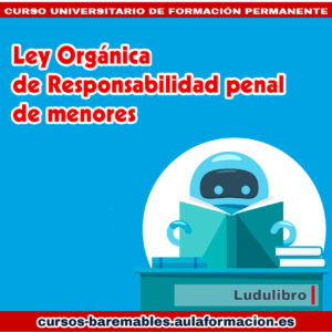 curso-universitario-ley-organica-responsabilidad-penal-menores-ludulibro