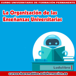 curso-universitario-organizacion-enseñanzas-universitarias-ludulibro